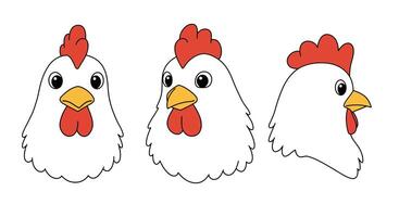 Chicken head illustrations in playful, minimal style showcasing different angles in art vector