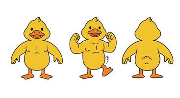 Cute cartoon duck character transformation in flat style art vector