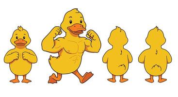 Yellow duck character transformation in playful flat illustration style vector