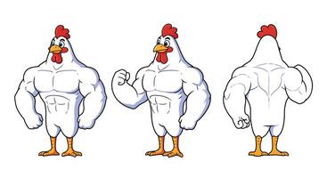 Muscular chicken character design in flat style showing three angles illustration vector