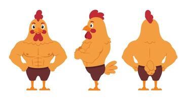 Strong cartoon chicken character design in flat style showcasing three angles illustration vector