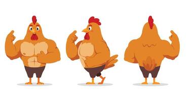 Muscular chicken character transformation in flat art style showing three dynamic poses vector
