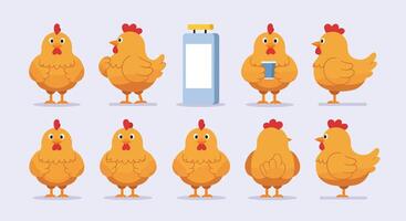 Chicken character transformation in flat style illustration with playful expressions and props vector