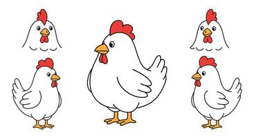Chicken character transformation from small to large in flat illustration vector