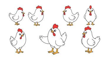 White chicken characters in various poses with flat design style illustration vector