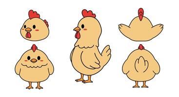 Cute cartoon chicken character design in flat style illustration vector