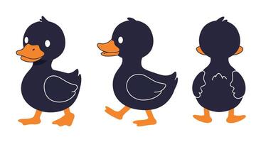 Cute cartoon duck character in playful poses with flat design style illustration vector