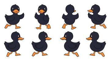 Animated duck characters in playful poses showcasing a flat design style illustration vector