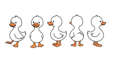 Walking duck animation frames in flat design style illustration vector