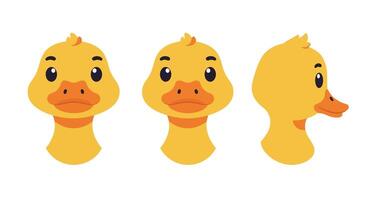 Detailed yellow duck character design in flat art style showcasing three different angles illustration vector