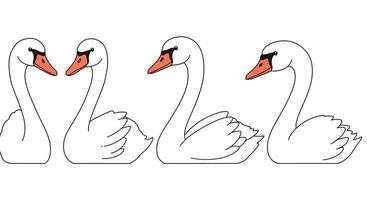Elegant swans transitioning from left to right in minimal illustration vector