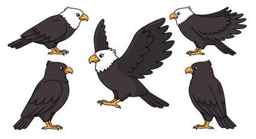 Eagle character design in flat style showcasing different poses in art vector
