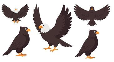 Detailed illustration of various eagle poses in flat design style showcasing dynamic wing movements vector