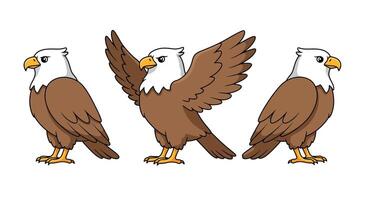 Eagle character design transition in flat style illustration vector
