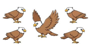 Eagle in various poses illustrated in flat style art vector