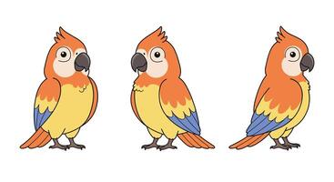 Colorful parrot character design in flat style showcasing playful expressions art vector