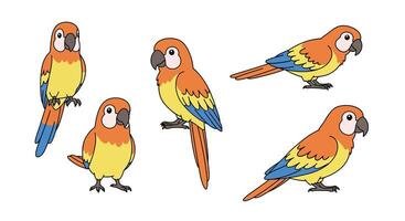 Colorful parrot characters in playful poses flat illustration vector