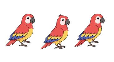 Colorful parrot character design in flat style showcasing three poses illustration vector