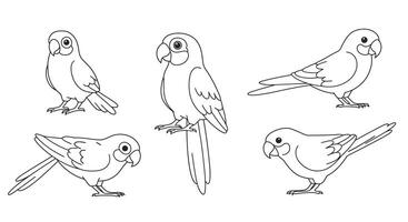 Detailed illustration of various parrot poses in flat design art vector