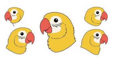 Yellow parrot head illustrations in flat design showcasing various angles and expressions art vector