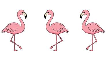 Pink flamingo in motion with flat design style illustration vector