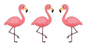 Pink flamingos in a playful stance with flat design style art vector