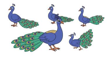 Colorful peacock transformation in flat art showcasing vibrant feathers and elegant design elements vector