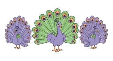 Colorful peacock displaying feathers in flat style illustration vector
