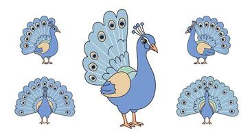 Blue peacock showcasing feathers in flat design style art vector