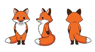 Cute fox character design with flat style showcasing three different poses in illustration vector