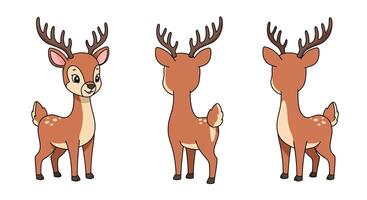 Cute cartoon deer design in flat style showcasing different angles art vector