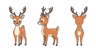 Cute young deer character design in flat style showcasing different angles art vector