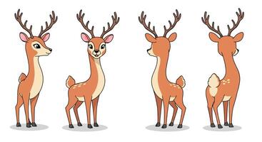 Cute deer character design in flat style showcasing various angles illustration vector