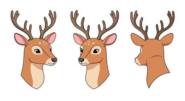 Deer head illustrations in various angles featuring flat design style art vector