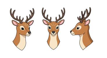 Three deer heads showcasing different angles in minimal illustration vector