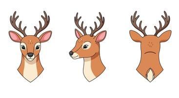 Detailed deer head illustration in flat style showcasing different angles in art vector