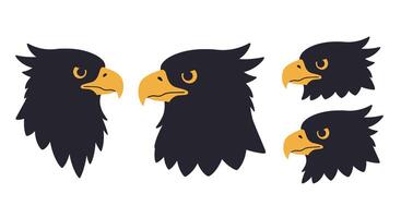 Eagle head illustrations showcasing different angles in flat minimal art vector