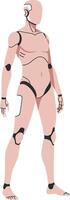Human anatomy model in a standing pose, minimal design, detailed joints illustration vector
