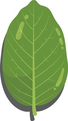 Green leaf illustration in flat design style with detailed textures and shadows art