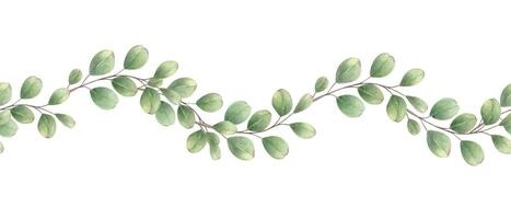 Horizontal seamless banner with hand painted eucalyptus branches in watercolor. Floral garland isolated background. For essential oil labels, diffuser packaging, or spa relaxation guide, fitness app vector