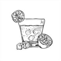 Cold drink with ice in glass and citrus slice isolated illustration painted by black inks. Etching drawing of lemonade, mojito cocktail, tequila beverage, aromatic water. Food element for menu vector