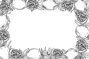 Monochrome Passiflora on leaves rectangle frame with copy space for text. Tropical passion fruits illustration painted by black inks. Granadilla engraving drawing for beverage branding, summer menu. vector
