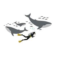 Diver exploring underwater scene with whales in flat illustration vector