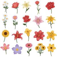 Colorful flower bouquet arranged in a grid style with flat illustration vector