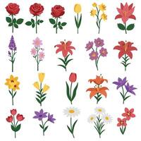Colorful floral arrangement featuring roses, lilies, tulips, and daisies in a detailed illustration vector