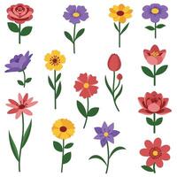 Colorful flower collection in flat design style featuring various blooms illustration vector