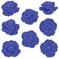 Blue roses arranged in a minimal style with detailed outlines in art vector