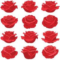 Red roses arranged in a grid pattern with flat design style illustration vector