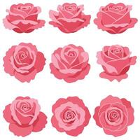 rosado rosas en varios preparativos con plano diseño estilo Arte vector