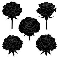 Black rose flowers arranged in a symmetrical design with minimal details art vector